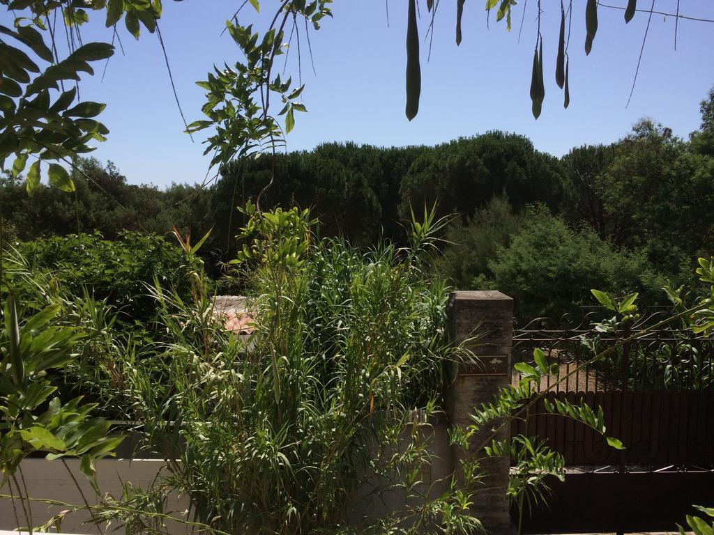 Maison D'Elie Saint Tropez Exteriér fotografie